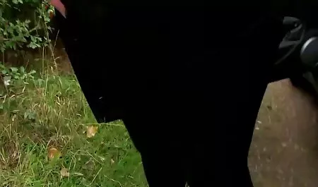 Cumshots und Orgasmen schneiden sexfime free