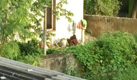 Asian saugt und reitet einen Schwanz pornos kostenlos anschauen